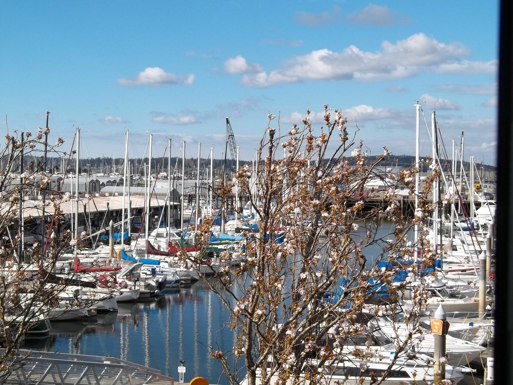 Inn At Port Gardner-Everett Waterfront, Ascend Hotel Collection Екстериор снимка